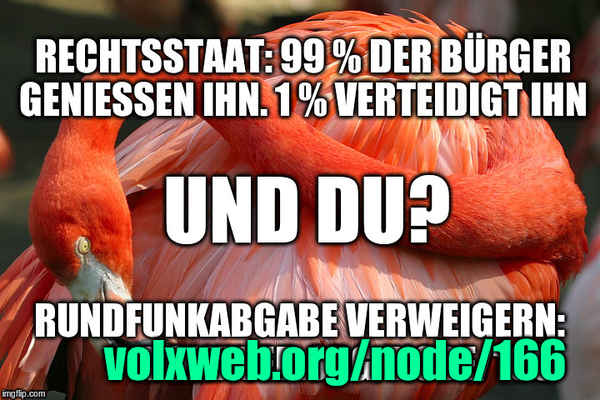 flamingo red_head  meme 99proz DU x600